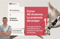 Curso 4D Anatomy: La anatomía del pulgar