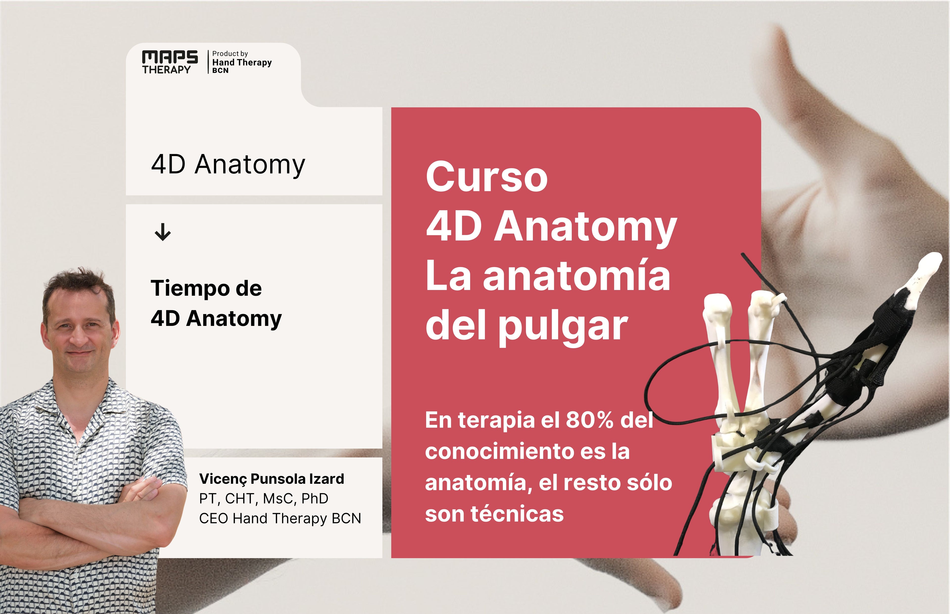 Curso 4D Anatomy: La anatomía del pulgar